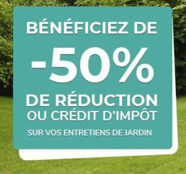 Bénéficiez de 50% de crédit d'impôt avec Elagage Stenegri